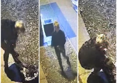 "Это абсолютное свинство и наглость": жители в шоке - в Кенгарагсе женщина украла гирлянды с елки 