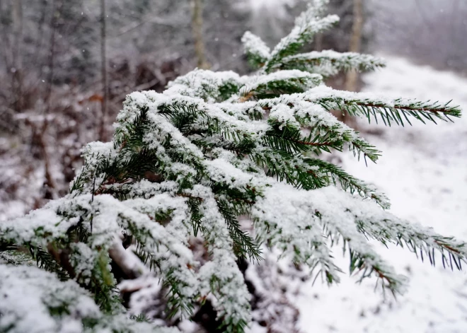 В воскресенье в Латвии ожидаются небольшие осадки