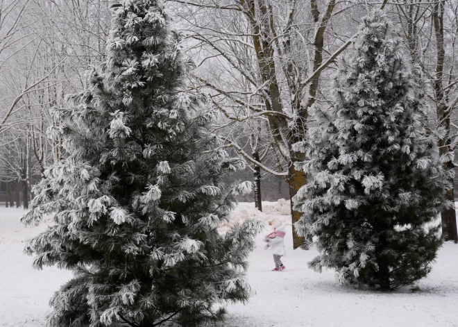 Сначала сугробы до 5 см, потом дождь: что будет с погодой в понедельник