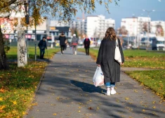 Усиливающийся гендерный дисбаланс в Латвии привел к появлению необычной, но популярной услуги
