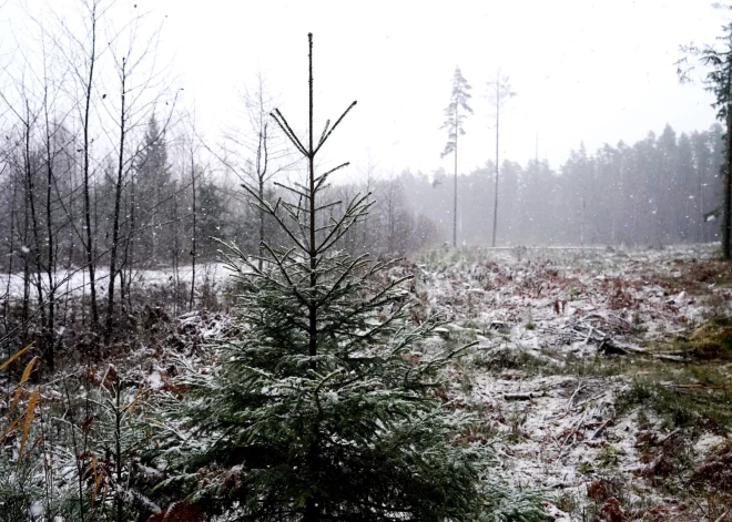 Naktī nokrišņi galvenokārt gaidāmi Latvijas austrumu daļā