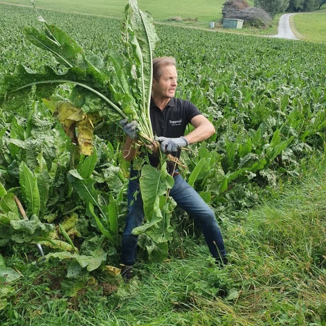 Varena mārrutku raža! Foto: no Ivitas Jakušonokas personīgā arhīva.
