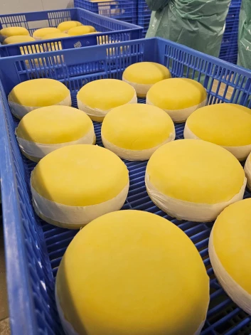 Tā top siers. Foto: no Ivitas Jakušonokas personīgā arhīva.