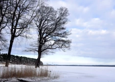 Jaunās nedēļas otrajā pusē debesis skaidrosies