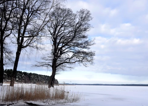 В середине недели осадки пойдут на убыль, а в конце недели в Латвию придет новая область осадков.
