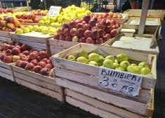 ФОТО: зимой за фруктами на Центральный рынок в Риге! Латвийские яблоки от 1 евро и другие находки