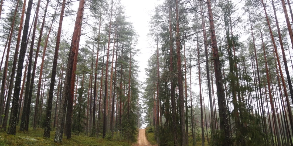 Otrdien nav gaidāmi būtiski nokrišņi. 