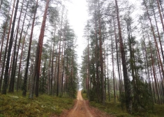 Otrdien nav gaidāmi būtiski nokrišņi