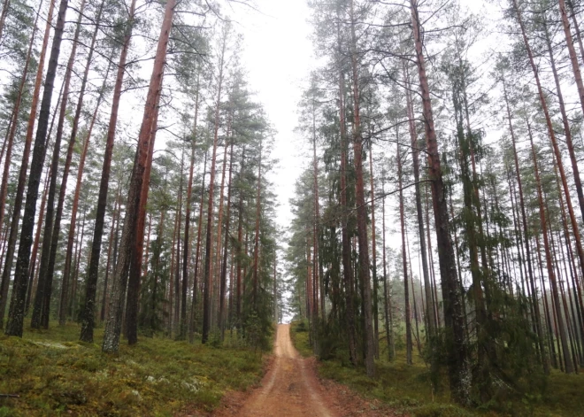Otrdien nav gaidāmi būtiski nokrišņi