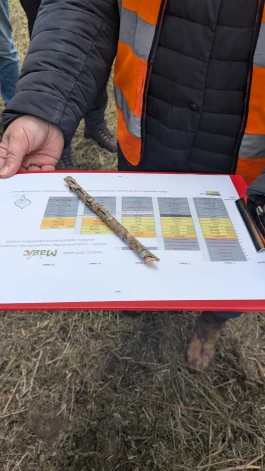 Stādījums ierīkots, stādot aptuveni 20 cm garus vismaz zīmuļa resnuma spraudeņus – šīs maģiskās nūjiņas apsakņojās un veidoja vienu vai vairākas atvases, sākumā tās jutīgas pret noēnojumu, tāpēc pirmos divus gadus nezāles bija jāapkaro. 