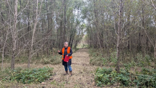 .  Negribas ticēt, ka pagājuši tikai desmit gadi. Koku un krūmu atvases krietni pāraugušas pētniekus. No papeļu spraudeņiem izveidojas kokveida formas, bet kārkli aug kā slaidi krūmi, stāsta Dagnija Lagzdiņa.