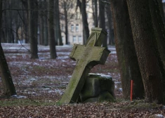 Латвия начинает еженедельно сообщать о смертности в Европу: что это значит