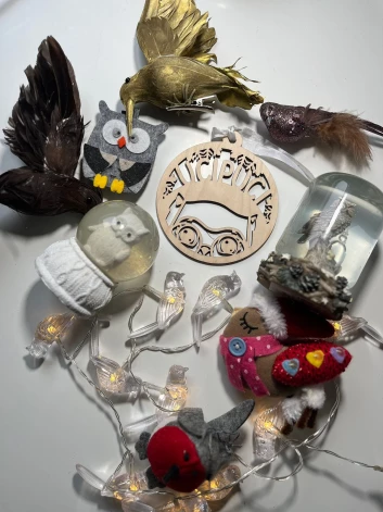 Rakstnieces Zanes Zustas Ziemassvētku rotājumu kastē dominē dažādi putni, kas saistīts ar to, ka pirms desmit gadiem viņa izdeva grāmatu bērniem par rotaļu pūci Ucipuci