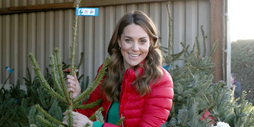 Princese Ketrīna un egles.