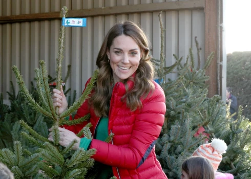 Princese Ketrīna un egles.