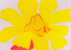 Хелена Хейнрихсоне: "О, Боже, как красиво!" - розы, ирония и свобода в галерее Māksla XO