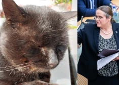 Lietuvas Seimā deputāti nobalso par kaķa tiesībām atlaist sabiedriskā medija vadītāju