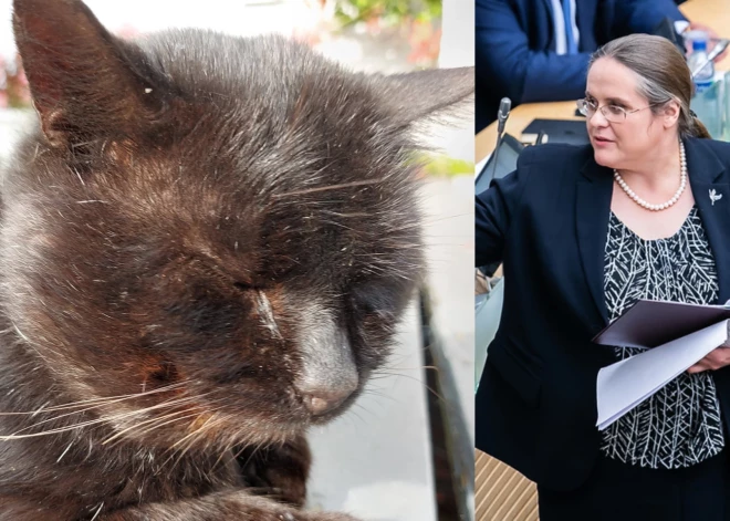 Lietuvas Seimā deputāti nobalso par kaķa tiesībām atlaist sabiedriskā medija vadītāju