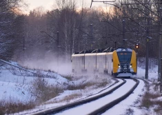 В Латвии решили «доставить Рождество» прямо в вагон!