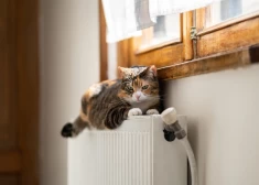 Deputāti: rīdzinieki par siltumu pārmaksā, kamēr TEC siltumu “izmet gaisā”