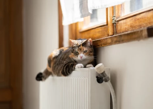 Parlamentārās izmeklēšanas komisijā norāda uz siltumapgādes cenu atšķirībām Baltijas valstīs.