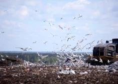 СК пришел с процессуальными действиями в две компании: что заподозрили в сфере очистки инфильтрата