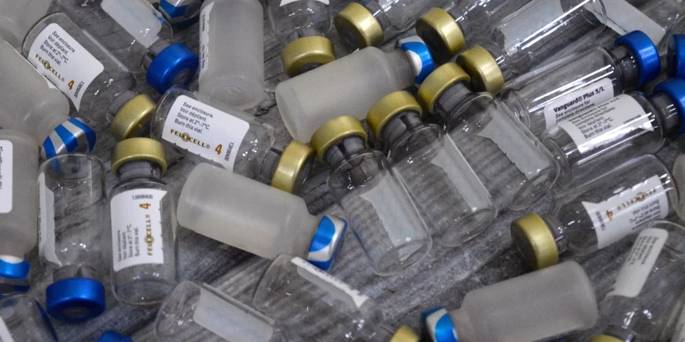 CPV ir cilvēka papilomas vīruss, ar kuru var inficēties lielākoties dzimumattiecību laikā.