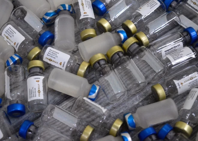 Mīts: CPV vakcīna var ietekmēt auglību. Vai tiešām?