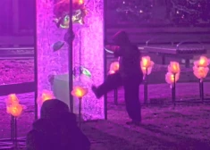 Даугавпилс в огнях: муниципальная полиция просит беречь праздничные украшения