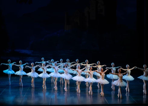Балет «Лебединое озеро».