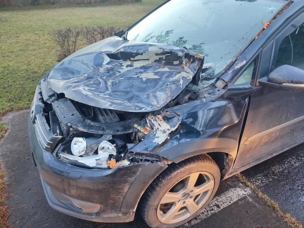 Pirms nedēļas pamatīgi apskādēts Maksima auto, kuru tumšajā diennakts laikā uztriecās virsū ceļā nokritušajam kokam.