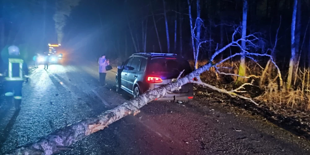 Pirms nedēļas pamatīPagājušās nedēļas garā piektdienas rītā pār ceļu uz Skulti bija nokritis koks, kuru tumšajā laikā nepamanīja “Volkswagen Touran” vadītājs un tam “izbrauca cauri”.gi apskādēts Maksima auto, kuru tumšajā diennakts laikā uztriecās virsū ceļā nokritušajam kokam.  