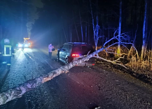 Pirms nedēļas pamatīPagājušās nedēļas garā piektdienas rītā pār ceļu uz Skulti bija nokritis koks, kuru tumšajā laikā nepamanīja “Volkswagen Touran” vadītājs un tam “izbrauca cauri”.gi apskādēts Maksima auto, kuru tumšajā diennakts laikā uztriecās virsū ceļā nokritušajam kokam.  
