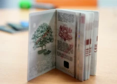 No 1. janvāra pase un eID karte kļūs dārgākas; atbilstoši rīkojoties, vēl var paspēt noformēt dokumentus par veco cenu