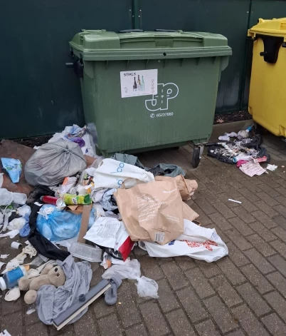 Jēkabpils pilsētā bieži novērotas situācijas atkritumu laukumos, ka konteineru saturs izcelts un izmētāts, atkritumu maisi saplēsti.