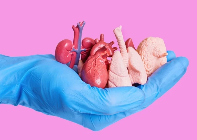 В Латвии внезапно увеличилось число желающих пожертвовать свои органы после смерти