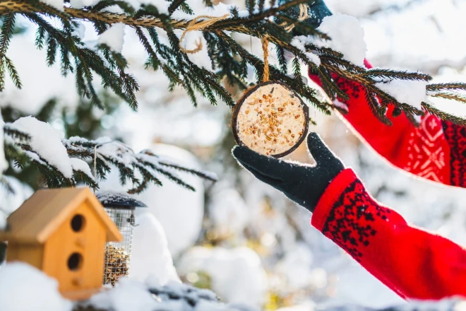 Egļu zari ir viens efektīvākajiem materiāliem, ar ko piesegt puķu dobē augošos augus. Ejot pēc egļu zariem uz mežu, jāatceras, ka tos nedrīkst griezt, kur pagadās, un ka zari jāgriež atbildīgi, lai eglei nenodarītu pāri un tā varētu turpināt augt. Zarus vēlams griezt no vainaga ārējās daļas, izvēloties jaunākos un ne pārāk resnus.