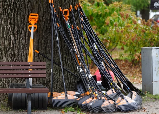 Jūrmalnieki akcijā nodevuši 1779 tonnas rudens lapu