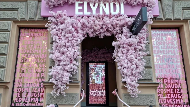 Elyndi завершает свою деятельность — об этом объявила владелица магазина Элина Дидрихсоне.