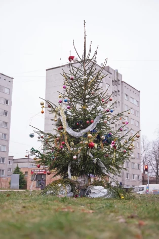 Елка в Вецмилгрависе.