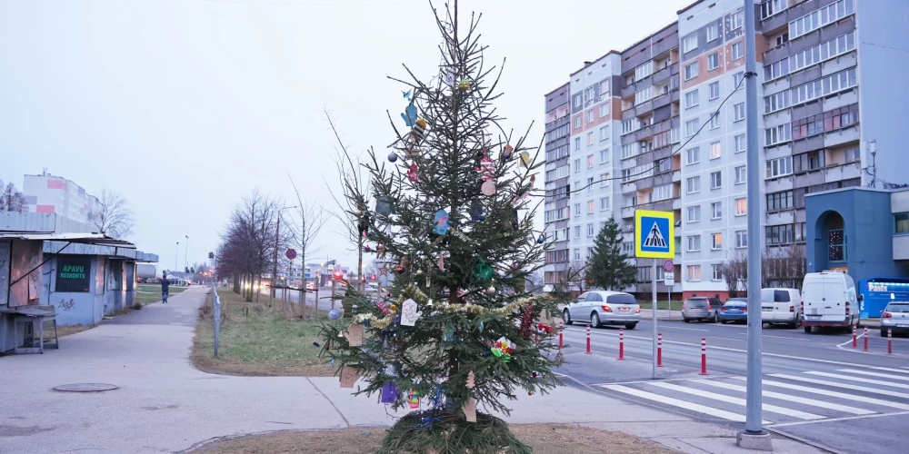 Елка в Плявниеках.