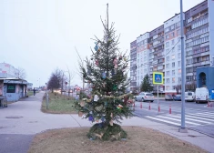 ФОТО: в Риге снова зажглись районные елки - где красивее?