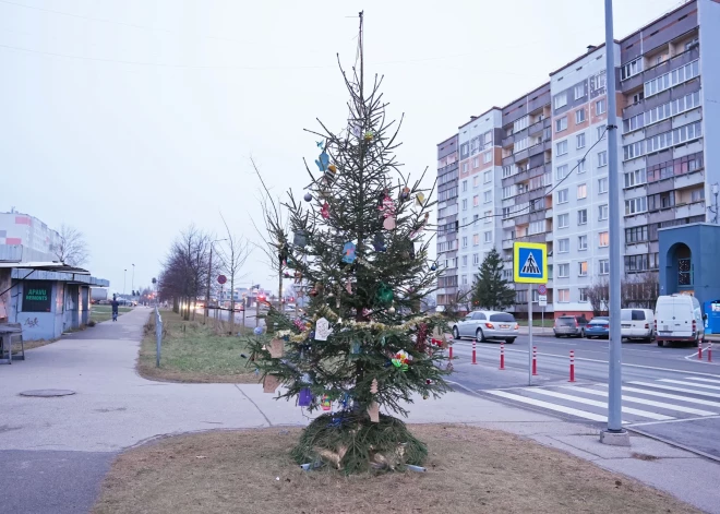 ФОТО: в Риге снова зажглись районные елки - где красивее?