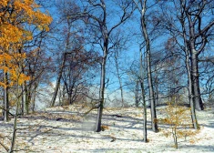 В воскресенье в Латвии сквозь облака выглянет солнце