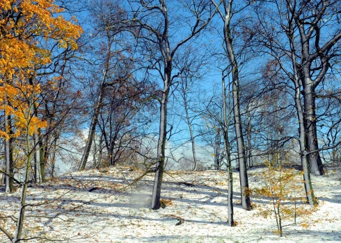 Иллюстративное фото.