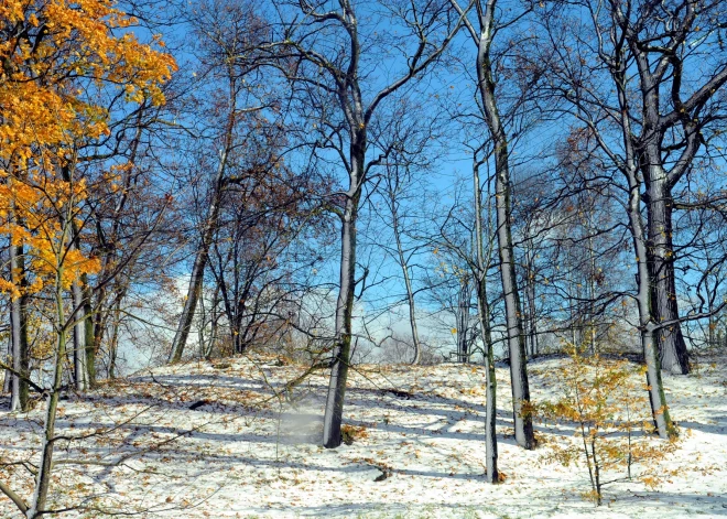 В воскресенье в Латвии сквозь облака выглянет солнце