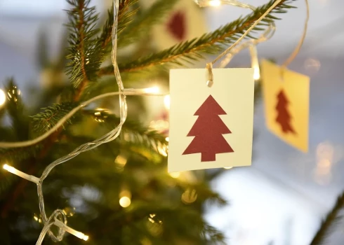 Иллюстративное фото.