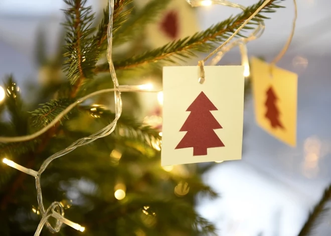 В Латвии обнаружили людей, которые вообще не отмечают Рождество