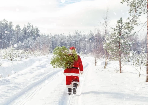 Trešdien diena un arī Ziemassvētku vakars aizritēs ar mierīgiem laika apstākļiem - laiks būs mākoņains, bet bez nokrišņiem, pūtīs lēns līdz mērens rietumu puses vējš.