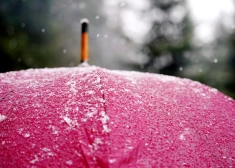 В понедельник ожидается дождь и мокрый снег